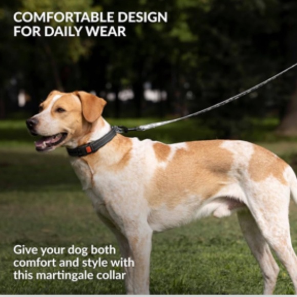 CollarDirect Martingale Dog Collar Stainless Steel Chain & Quick Release Buckle - Picture 5 of 11